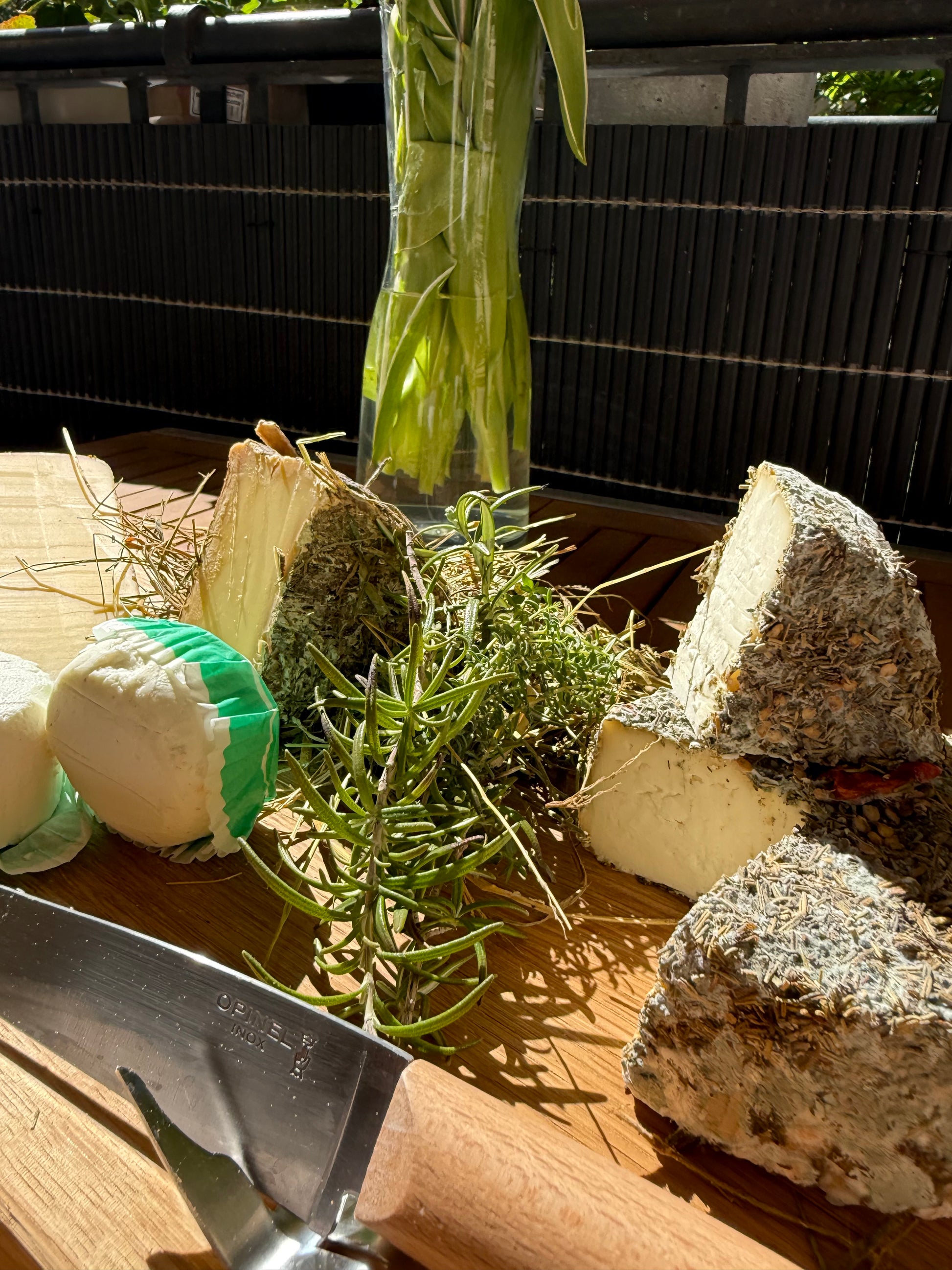 Saveurs du Maquis in der Sonne mit frischen Kräutern — Schafskäse aus dem korsischen Maquis