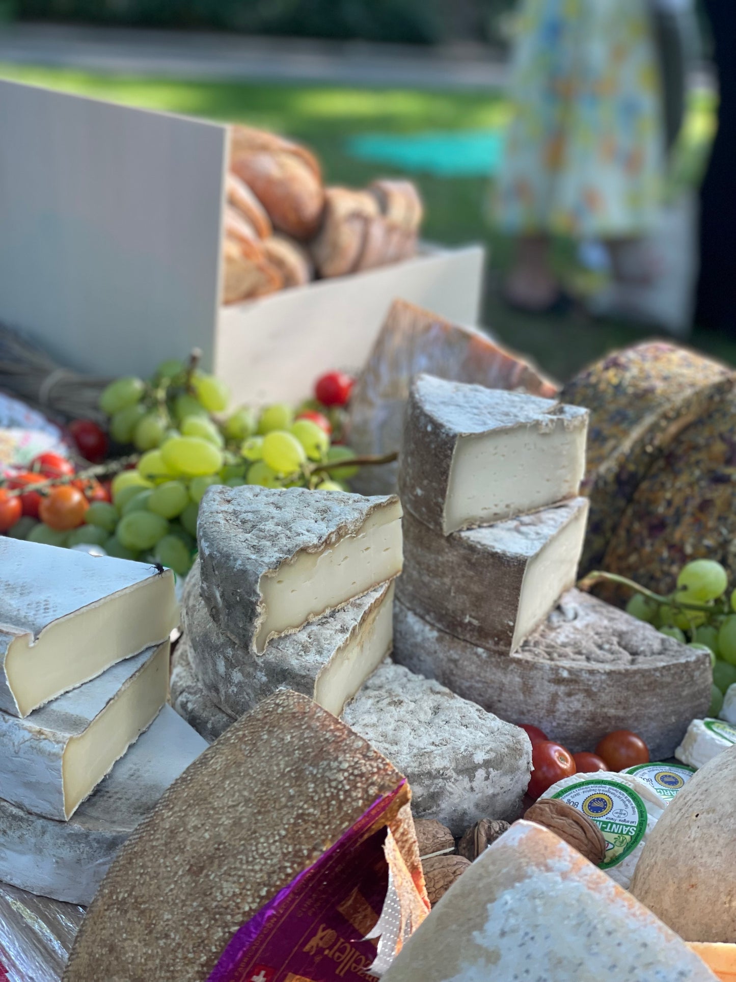 Käse im Parc – Picknickkorb Berlin | Augusta